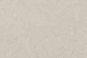 Линолеум Forbo Marmoleum Decibel on Order 386035 silver shadow фото  | FLOORDEALER